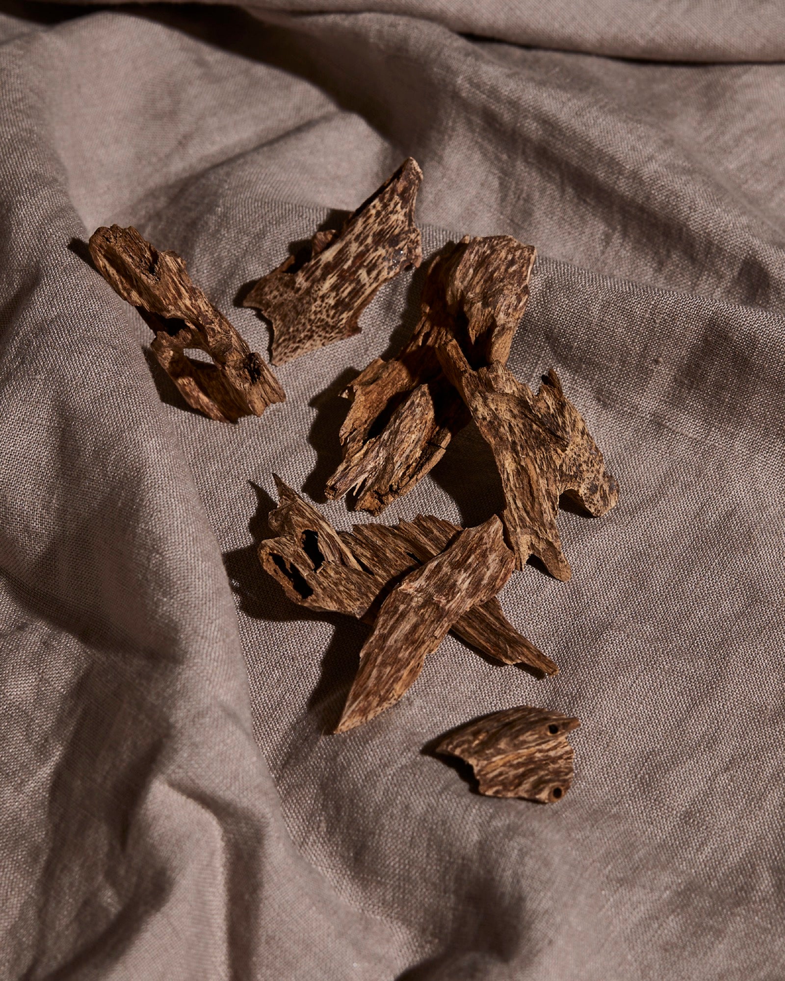 Raw agarwood chips, the wood real oud comes from