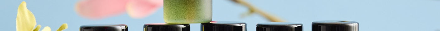 Discovery Collection rollerballs with orchid flowers on blue