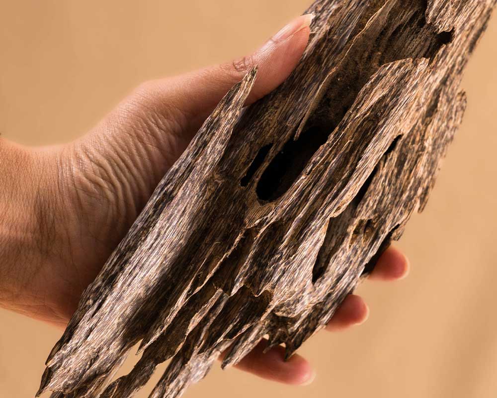 Layering Skin Scents with Oud
