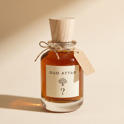 Premium Mystery Surprise - one 100ml elixir, we choose, you discover